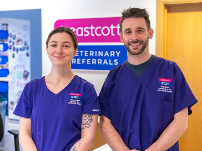 Eastcott Referrals new dentistry team members